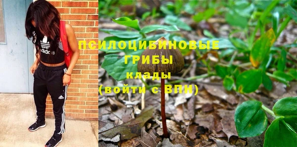 apvp Абинск