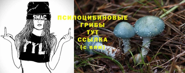 дмт Алексеевка